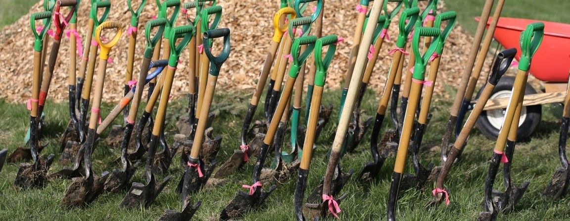 Highland Creek Valleyland Native Tree and Shrub Planting
